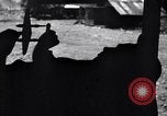 Image of P-38 planes of 80th fighter squadron Pacific Theater, 1944, second 7 stock footage video 65675030621