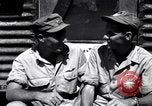 Image of P-38 planes of 80th fighter squadron Pacific Theater, 1944, second 16 stock footage video 65675030621