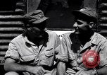 Image of P-38 planes of 80th fighter squadron Pacific Theater, 1944, second 17 stock footage video 65675030621