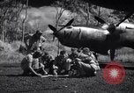 Image of P-38 planes of 80th fighter squadron Pacific Theater, 1944, second 26 stock footage video 65675030621