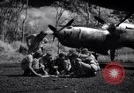 Image of P-38 planes of 80th fighter squadron Pacific Theater, 1944, second 29 stock footage video 65675030621