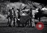 Image of P-38 planes of 80th fighter squadron Pacific Theater, 1944, second 32 stock footage video 65675030621