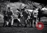 Image of P-38 planes of 80th fighter squadron Pacific Theater, 1944, second 33 stock footage video 65675030621