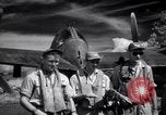 Image of P-38 planes of 80th fighter squadron Pacific Theater, 1944, second 42 stock footage video 65675030621