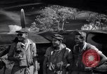 Image of P-38 planes of 80th fighter squadron Pacific Theater, 1944, second 48 stock footage video 65675030621