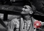 Image of P-38 planes of 80th fighter squadron Pacific Theater, 1944, second 53 stock footage video 65675030621