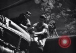 Immagine di Meccanica del 80th Fighter Squadron lavorare su un P-38 Nuova Guinea, 1944, secondo 14 filmato di repertorio 65675030624