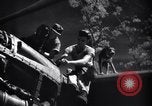 Immagine di Meccanica del 80th Fighter Squadron lavorare su un P-38 Nuova Guinea, 1944, secondo 19 filmato di repertorio 65675030624