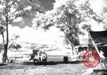 Image of P-38s of 80th Fighter Squadron, 8th Fighter Group New Guinea, 1944, second 21 stock footage video 65675030625
