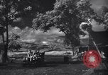 Image of P-38s of 80th Fighter Squadron, 8th Fighter Group New Guinea, 1944, second 22 stock footage video 65675030625