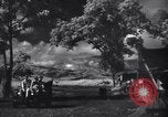 Image of P-38s of 80th Fighter Squadron, 8th Fighter Group New Guinea, 1944, second 23 stock footage video 65675030625