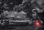 Image of P-38s of 80th Fighter Squadron, 8th Fighter Group New Guinea, 1944, second 24 stock footage video 65675030625
