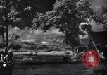 Image of P-38s of 80th Fighter Squadron, 8th Fighter Group New Guinea, 1944, second 25 stock footage video 65675030625