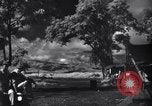 Image of P-38s of 80th Fighter Squadron, 8th Fighter Group New Guinea, 1944, second 26 stock footage video 65675030625