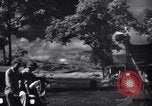 Image of P-38s of 80th Fighter Squadron, 8th Fighter Group New Guinea, 1944, second 27 stock footage video 65675030625