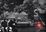 Image of P-38s of 80th Fighter Squadron, 8th Fighter Group New Guinea, 1944, second 28 stock footage video 65675030625