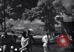Image of P-38s of 80th Fighter Squadron, 8th Fighter Group New Guinea, 1944, second 29 stock footage video 65675030625