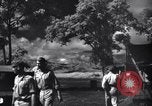 Image of P-38s of 80th Fighter Squadron, 8th Fighter Group New Guinea, 1944, second 30 stock footage video 65675030625
