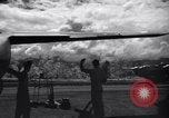 Image of P-38s of 80th Fighter Squadron, 8th Fighter Group New Guinea, 1944, second 51 stock footage video 65675030625