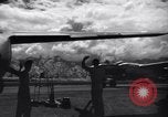 Image of P-38s of 80th Fighter Squadron, 8th Fighter Group New Guinea, 1944, second 52 stock footage video 65675030625