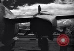 Image of P-38s of 80th Fighter Squadron, 8th Fighter Group New Guinea, 1944, second 56 stock footage video 65675030625