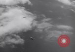 Image of P-38 Lightning airplanes of US Army 13th Air Force Pacific Theater, 1943, second 13 stock footage video 65675030626