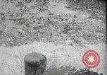Image of Rocket launch facilities Peenemunde Germany, 1943, second 13 stock footage video 65675030640