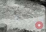Image of Rocket launch facilities Peenemunde Germany, 1943, second 14 stock footage video 65675030640