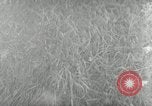 Image of Pipelines for rocket program Peenemunde Germany, 1943, second 59 stock footage video 65675030643