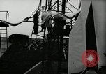 Image of Test rocket launch Peenemunde Germany, 1943, second 57 stock footage video 65675030649