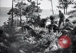 Image Les marins espagnols et soldats avec l'Allemagne Seconde Guerre Mondiale Afrique du Nord, 1941, de la seconde 55 séquences d'archives historiques vidéo 65675030668
