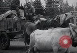 Standbild zivilen Flüchtlingen Kemijarvi Finnland, 1941, aus Sekunde 15 historischem Filmmaterial Videoclip 65675030672