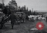 Standbild zivilen Flüchtlingen Kemijarvi Finnland, 1941, aus Sekunde 18 historischem Filmmaterial Videoclip 65675030672