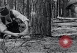 Image of Rocket test center construction Peenemunde Germany, 1940, second 50 stock footage video 65675030686