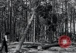 Image of Rocket test center construction Peenemunde Germany, 1940, second 57 stock footage video 65675030686