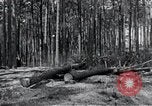 Image of Rocket test center construction Peenemunde Germany, 1940, second 59 stock footage video 65675030686