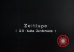 Image of Fi103 flying bomb slow motion launch Peenemunde Germany, 1943, second 3 stock footage video 65675030696