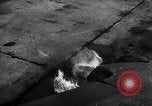 Image of ME-262 aircraft controls Germany, 1944, second 62 stock footage video 65675030702