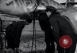Immagine di ME-262 aerei fino a supporti di manutenzione Germania, 1943, secondo 41 filmato di repertorio 65675030710
