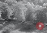 Image of A-20 Boston Bombers Northern France, 1944, second 46 stock footage video 65675030719