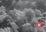 Image of A-20 Boston Bombers Northern France, 1944, second 48 stock footage video 65675030719