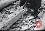 Standbild block Häuser Ostfront europäischen Theater, 1942, aus Sekunde 3 historischem Filmmaterial Videoclip 65675030722