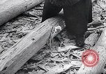 Standbild block Häuser Ostfront europäischen Theater, 1942, aus Sekunde 5 historischem Filmmaterial Videoclip 65675030722