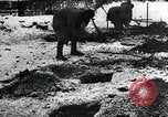 Standbild block Häuser Ostfront europäischen Theater, 1942, aus Sekunde 31 historischem Filmmaterial Videoclip 65675030722