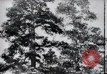 Standbild block Häuser Ostfront europäischen Theater, 1942, aus Sekunde 7 historischem Filmmaterial Videoclip 65675030723