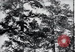 Standbild block Häuser Ostfront europäischen Theater, 1942, aus Sekunde 9 historischem Filmmaterial Videoclip 65675030723