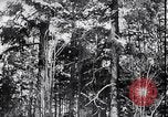 Standbild block Häuser Ostfront europäischen Theater, 1942, aus Sekunde 14 historischem Filmmaterial Videoclip 65675030723