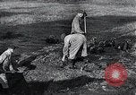 Standbild block Häuser Ostfront europäischen Theater, 1942, aus Sekunde 50 historischem Filmmaterial Videoclip 65675030724