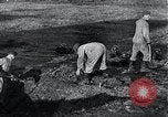Standbild block Häuser Ostfront europäischen Theater, 1942, aus Sekunde 51 historischem Filmmaterial Videoclip 65675030724