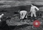 Standbild block Häuser Ostfront europäischen Theater, 1942, aus Sekunde 52 historischem Filmmaterial Videoclip 65675030724